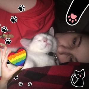 Meet your Posher, Heather